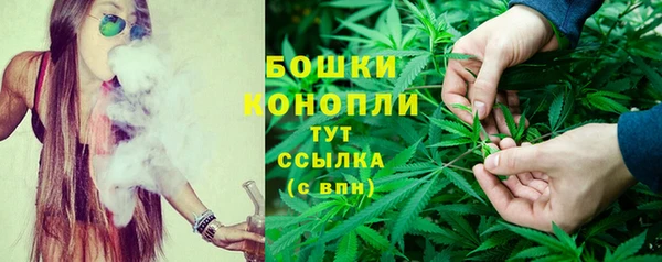 MESCALINE Вяземский